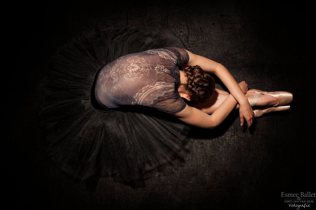 The Elegance and Beauty of Ballet Esmee Floor